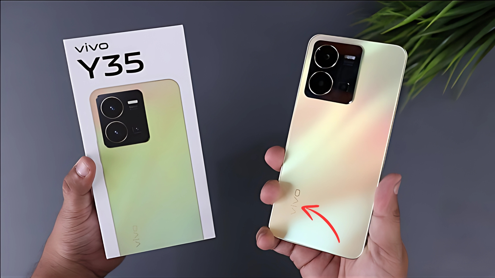 Vivo Y35